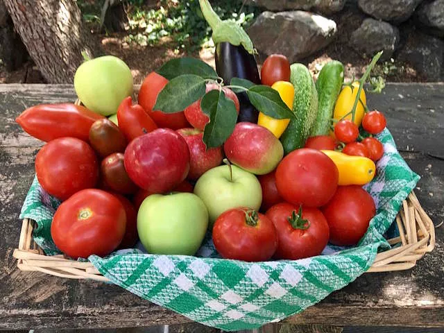 Obst und Gemüsekorb | Gärtnerei Jakubek Obst und Gemüsekorb | Gärtnerei Jakubek